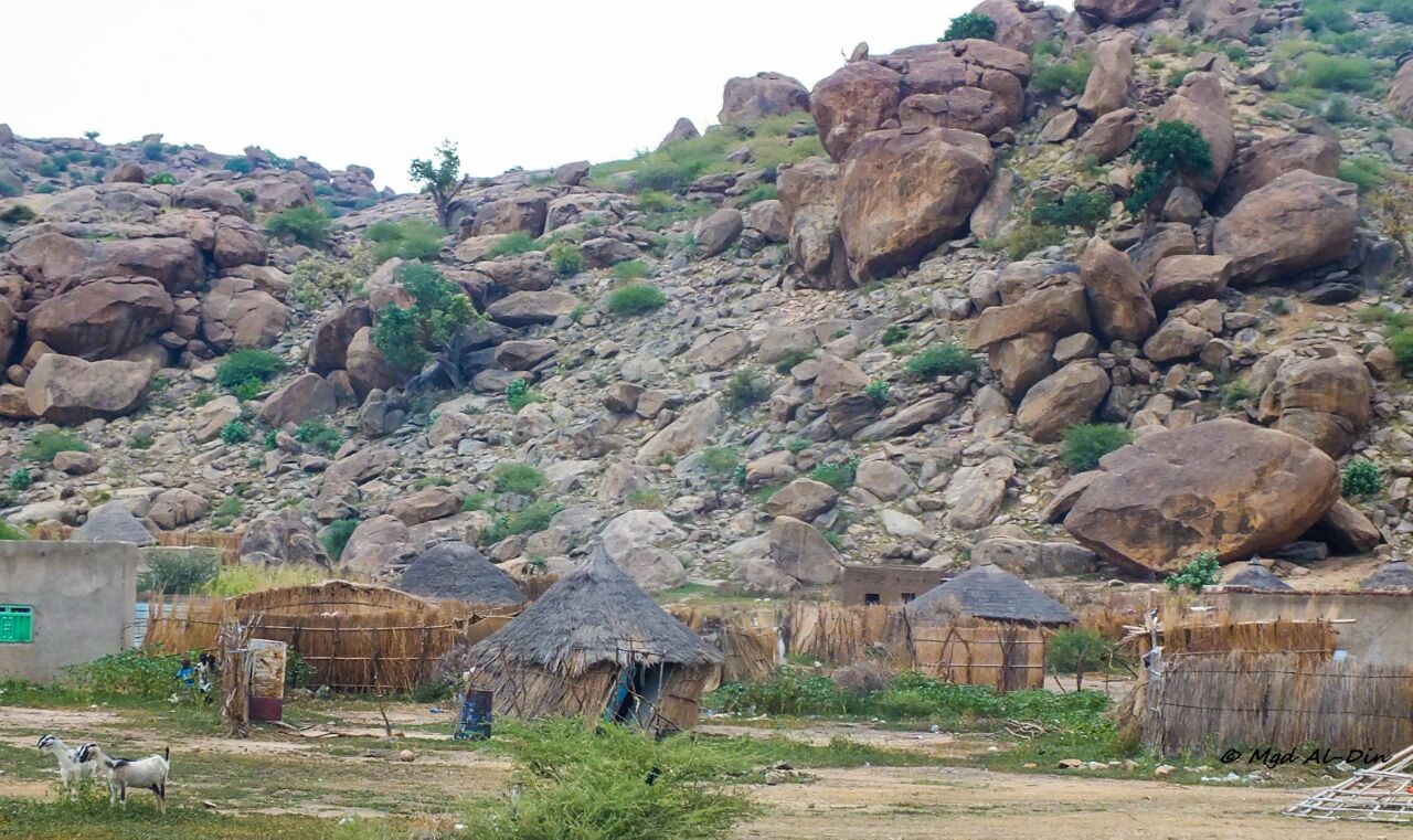 انفلات أمني خطير في منطقة الفاو بولاية القضارف