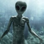 بعد قرار ترامب.. اختفاء غامض لأرشيف "الكائنات الفضائية"