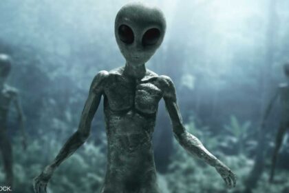 بعد قرار ترامب.. اختفاء غامض لأرشيف "الكائنات الفضائية"