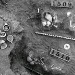 دراسة حديثة تفجر مفاجأة حول جمجمة “إنسان سنجة”