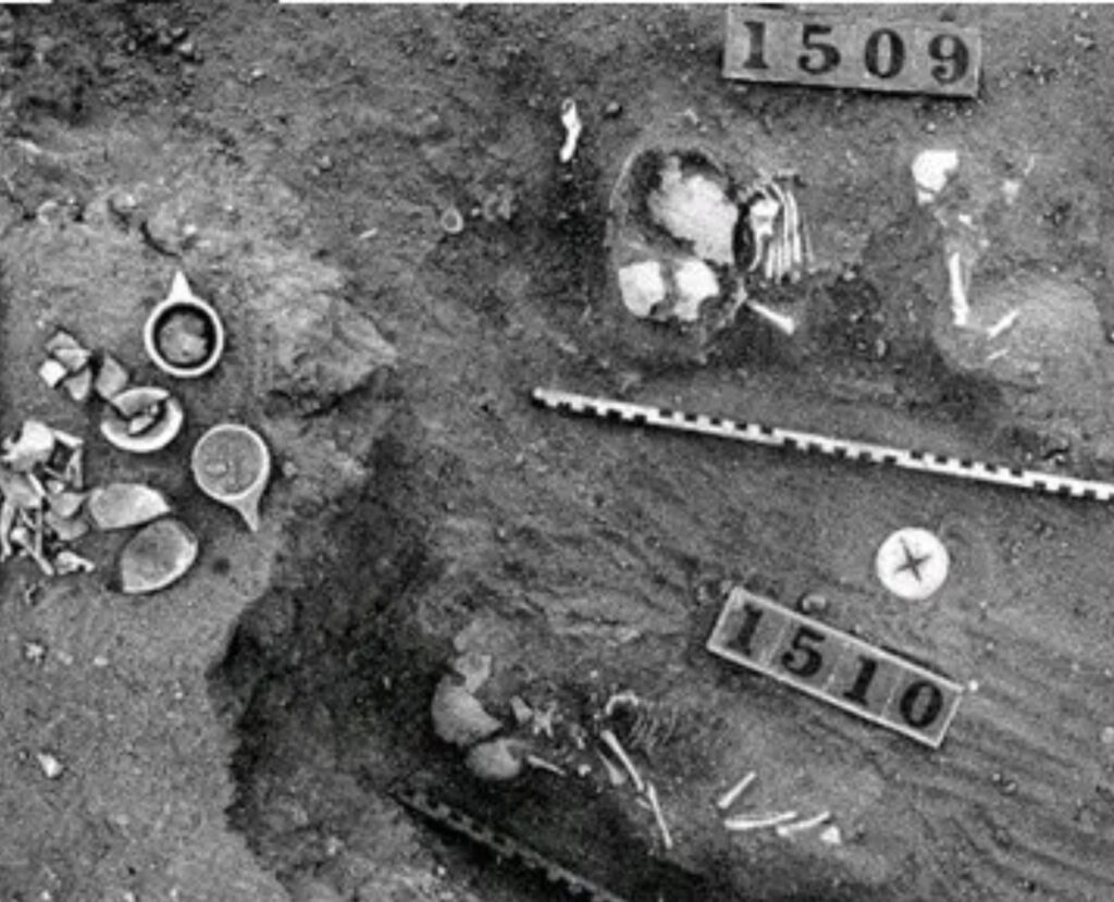 دراسة حديثة تفجر مفاجأة حول جمجمة “إنسان سنجة”