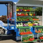 شركة جياد للسيارات تغير وجه السودان بفكرة مدهشة