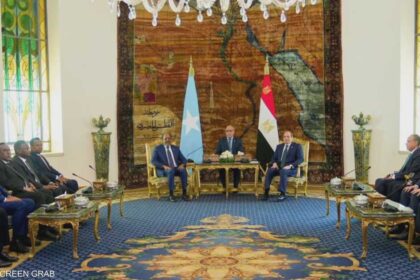 خاصمن السيسي.. رسائل إقليمية وسط تصعيد إثيوبي إريتري