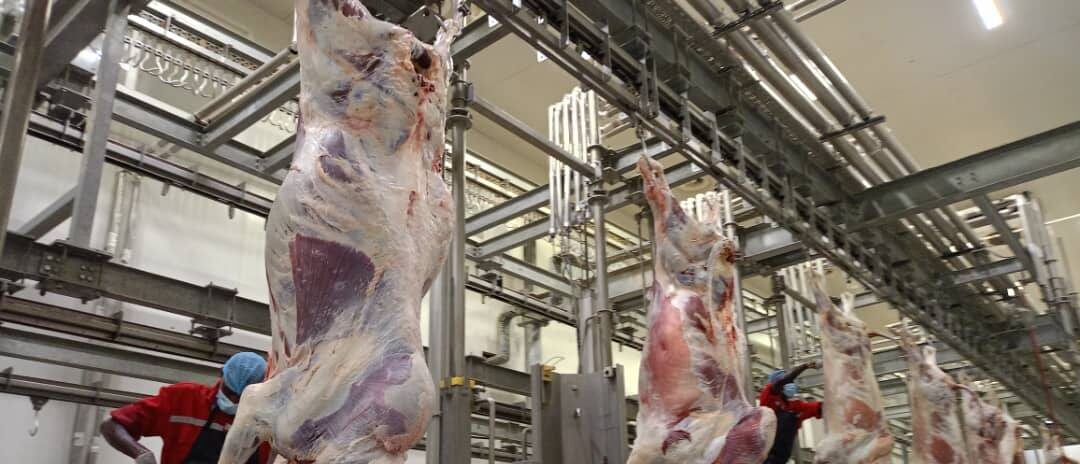 كشف تفاصيل لحوم سودانية إلى الإمارات مرورًا بالسعودية