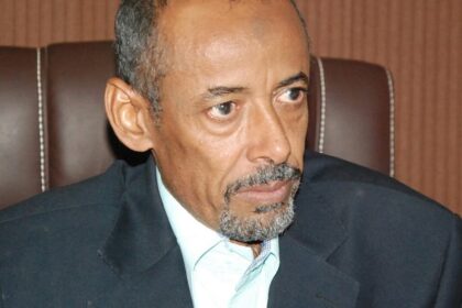 أحمد يوسف التاي يكتب.. هذه المرأة يجب إقالتها