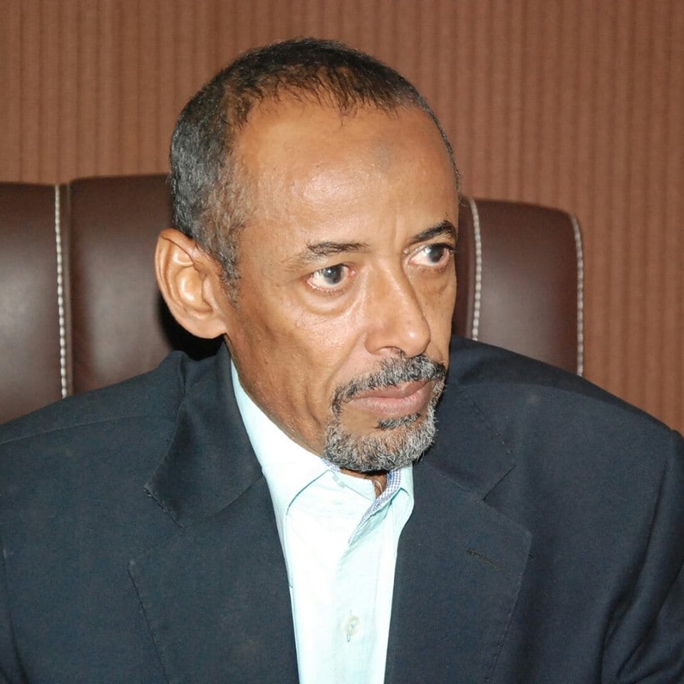 أحمد يوسف التاي يكتب.. هذه المرأة يجب إقالتها