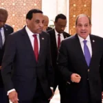 رئاسة الجمهورية المصرية تكشف تفاصيل لقاء السيسي وكامل إدريس