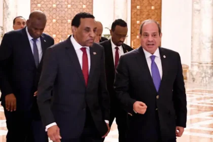 رئاسة الجمهورية المصرية تكشف تفاصيل لقاء السيسي وكامل إدريس