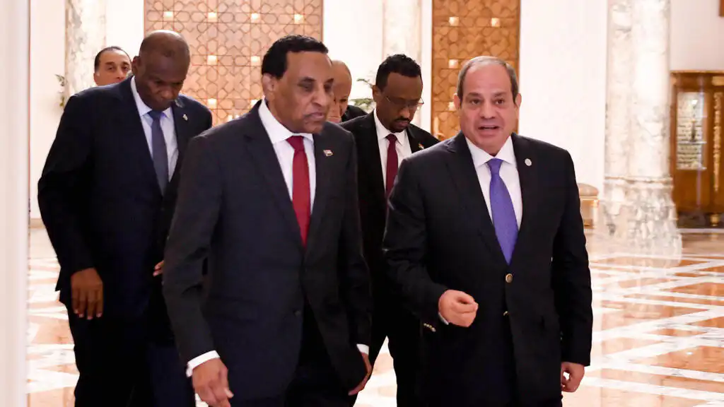 رئاسة الجمهورية المصرية تكشف تفاصيل لقاء السيسي وكامل إدريس