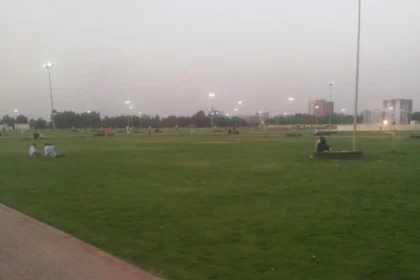 تحويل الساحة الخضراء إلى النجيل الصناعي