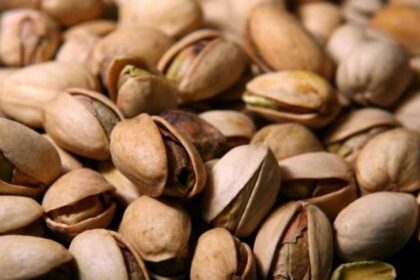 للطاقة وحماية القلب.. ما "التوقيت الذهبي" لأكل المكسرات؟