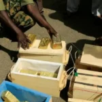 انخفاض سعر جرام الذهب في منجم سينقو بدارفور إلى 50 ألف بسبب حرب إيران