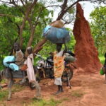 الكشف عن مخطط خطير في جبال النوبة