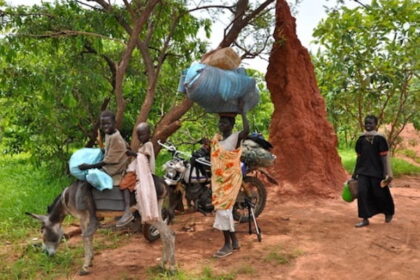 الكشف عن مخطط خطير في جبال النوبة