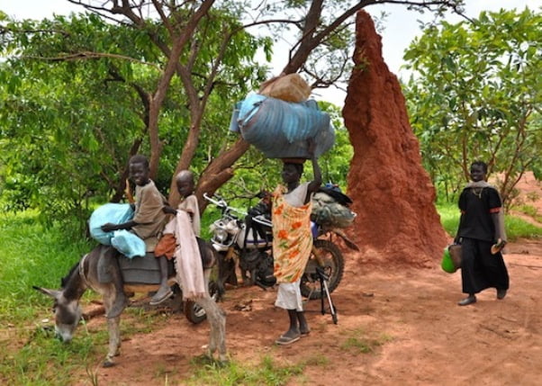 الكشف عن مخطط خطير في جبال النوبة