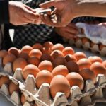 فيروس بيئي يهزم "السالمونيلا" ويعزز سلامة الغذاء