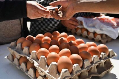 فيروس بيئي يهزم "السالمونيلا" ويعزز سلامة الغذاء