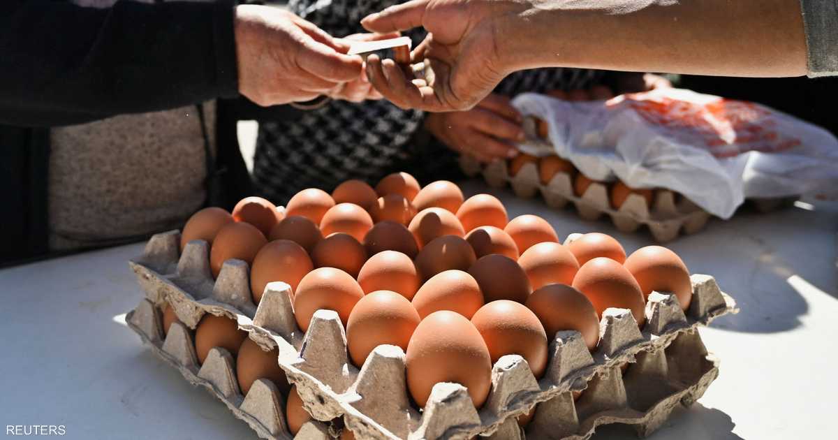 فيروس بيئي يهزم "السالمونيلا" ويعزز سلامة الغذاء