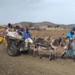 الصحفية رشان أوشي تحذر من خطورة صمت الحكومة تجاه مشاركة الطيران الإثيوبي في معارك النيل الأزرق