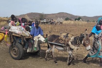 الصحفية رشان أوشي تحذر من خطورة صمت الحكومة تجاه مشاركة الطيران الإثيوبي في معارك النيل الأزرق