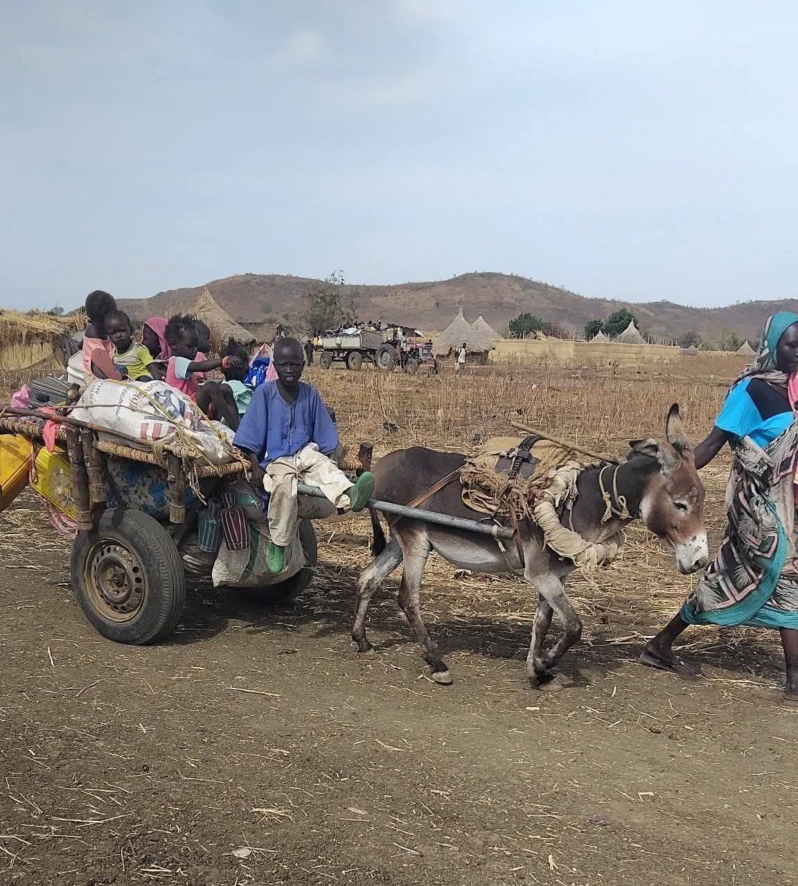 الصحفية رشان أوشي تحذر من خطورة صمت الحكومة تجاه مشاركة الطيران الإثيوبي في معارك النيل الأزرق