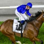 كأس دبي العالمي.. "أمبودسمان" يتوج بلقب "دبي تيرف"