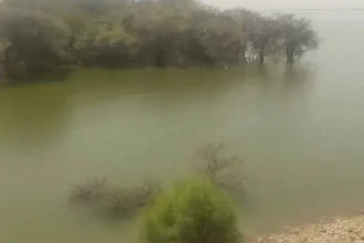 مصرع 4 أطفال غرقًا في جبل أولياء بولاية الخرطوم