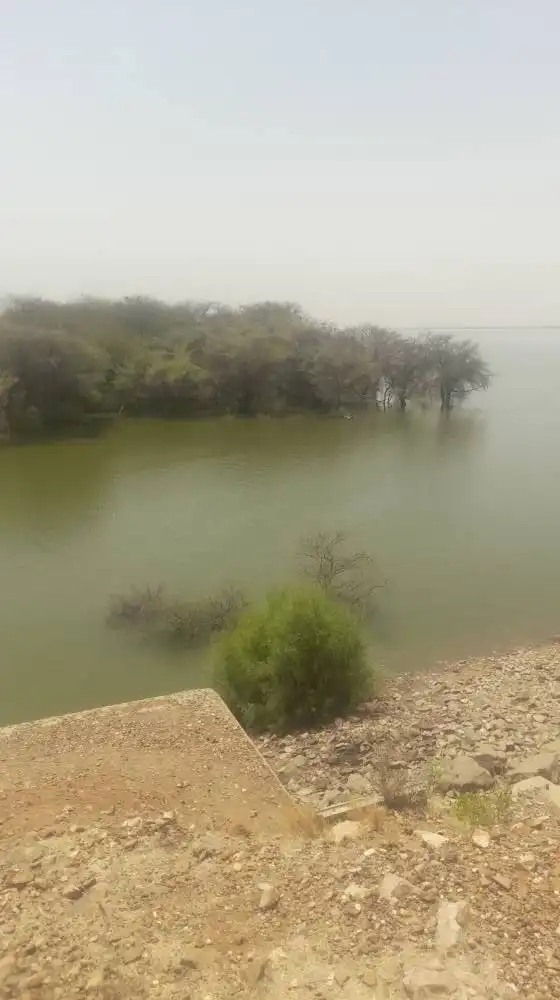 مصرع 4 أطفال غرقًا في جبل أولياء بولاية الخرطوم