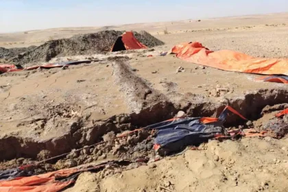 نتائج الفحوصات المخبرية تكشف تفاصيل مخيفة في نهر النيل