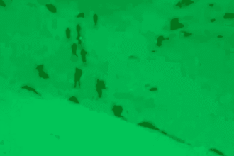 فيديو.. قوة إسرائيلية تعبر إلى لبنان عبر "جبل الشيخ" بسوريا