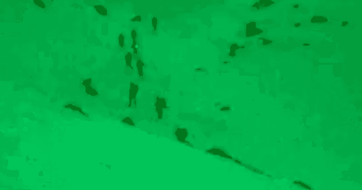 فيديو.. قوة إسرائيلية تعبر إلى لبنان عبر "جبل الشيخ" بسوريا