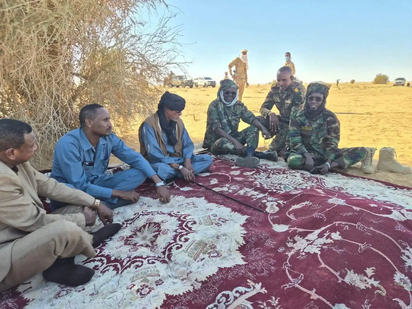 كشف تفاصيل إخراج موسى هلال في عملية معقدة باشراف مباشر من مناوي