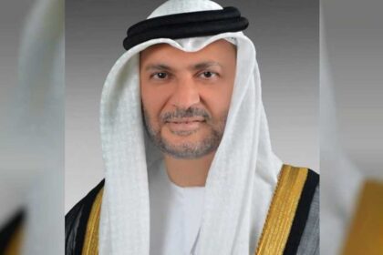 قرقاش: أي إجراءات دفاعية ستتخذها دولة الإمارات ستكون علنية