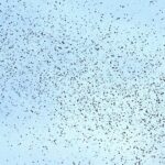 رسالة إسرائيلية لسكان بيروت بالـ"QR Code".. ماذا جاء فيها؟