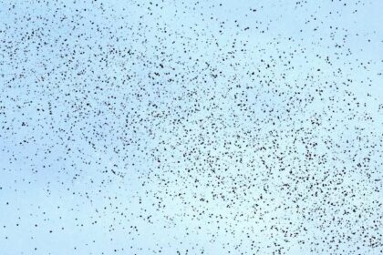 رسالة إسرائيلية لسكان بيروت بالـ"QR Code".. ماذا جاء فيها؟