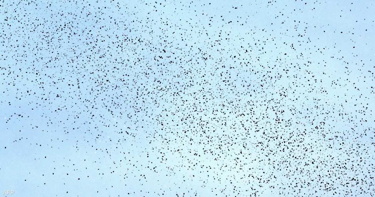 رسالة إسرائيلية لسكان بيروت بالـ"QR Code".. ماذا جاء فيها؟