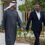 رئيس دولة الإمارات ورئيس وزراء إثيوبيا يبحثان علاقات التعاون