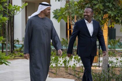 رئيس دولة الإمارات ورئيس وزراء إثيوبيا يبحثان علاقات التعاون