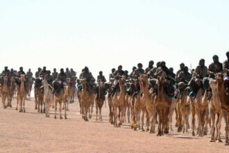 مشروع قانون أميركي لدراسة تصنيف البوليساريو منظمة إرهابية