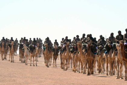 مشروع قانون أميركي لدراسة تصنيف البوليساريو منظمة إرهابية