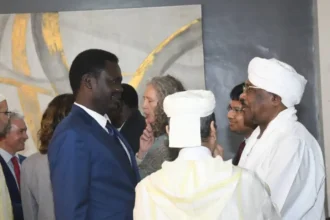 مقاومة الفاشر تهاجم مناوي