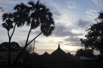 مجزرة جديدة في قرية فقوسة شرق الدلنج