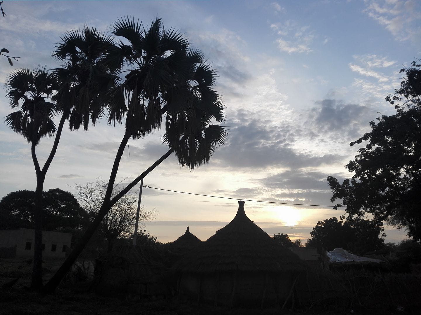 مجزرة جديدة في قرية فقوسة شرق الدلنج