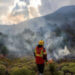 التعرض لدخان حرائق الغابات مرتبط بزيادة خطر الإصابة بـ5 أنواع من السرطان.