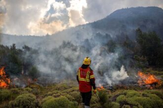 التعرض لدخان حرائق الغابات مرتبط بزيادة خطر الإصابة بـ5 أنواع من السرطان.