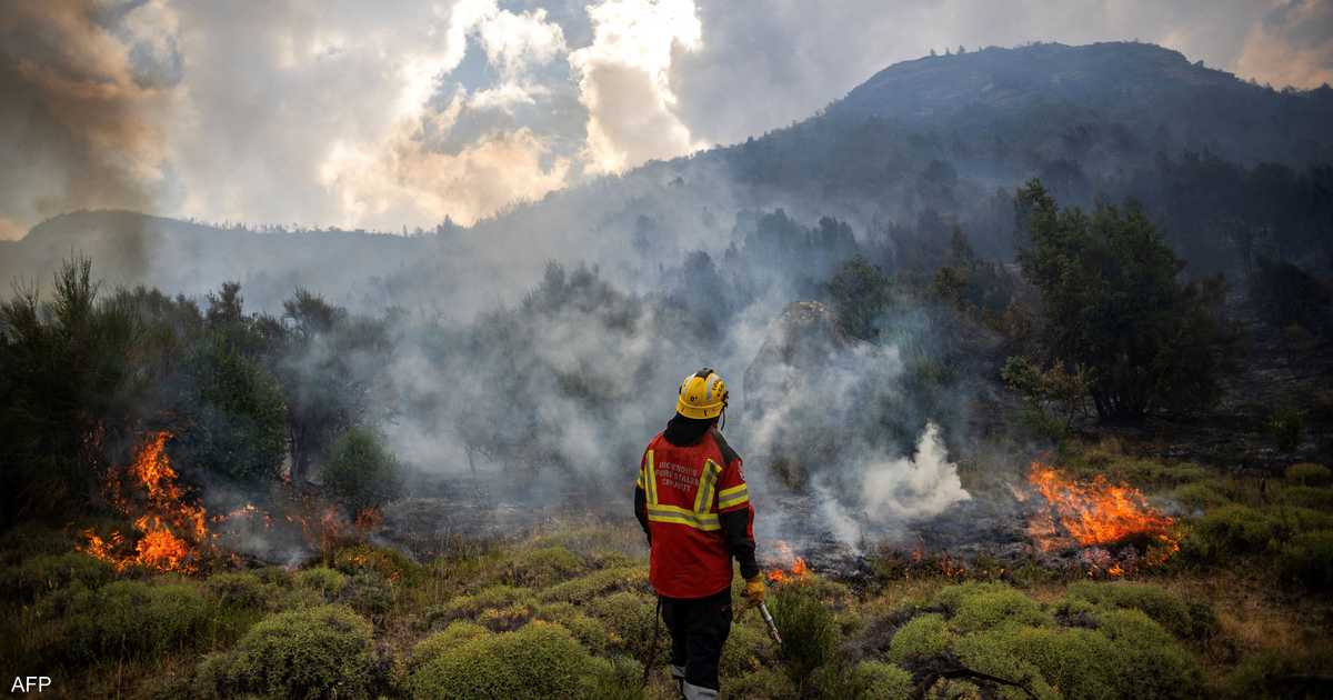 التعرض لدخان حرائق الغابات مرتبط بزيادة خطر الإصابة بـ5 أنواع من السرطان.