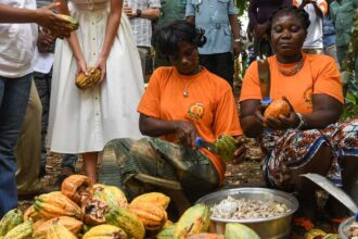 إفريقيا تسعى للاستثمار في التصنيع لاستعادة القيمة المضافة المهدرة