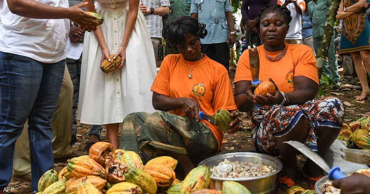 إفريقيا تسعى للاستثمار في التصنيع لاستعادة القيمة المضافة المهدرة