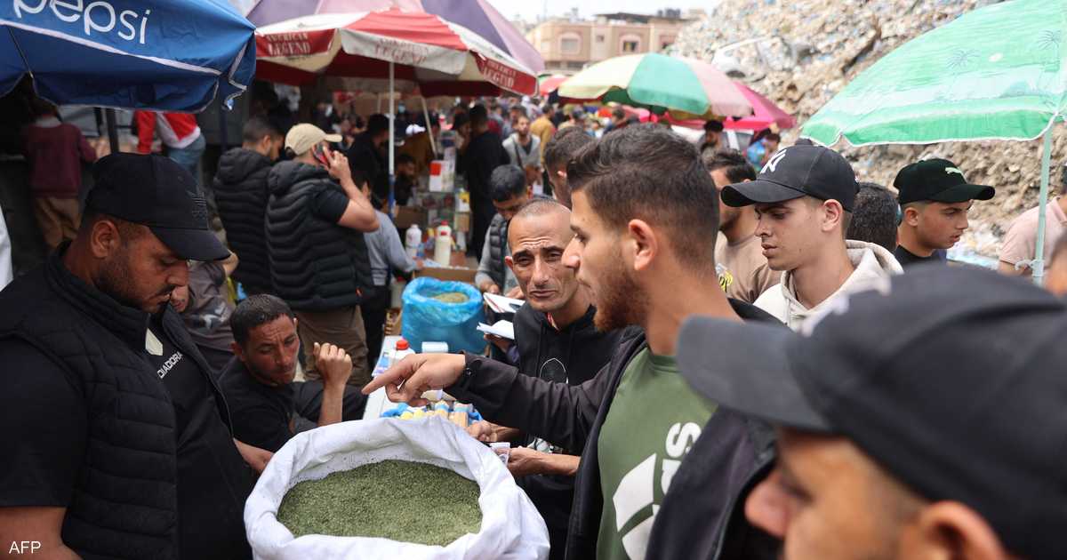 ازداد انتشار بديل جديد من السجائر بين المدخنين في غزة بسبب ارتفاع أسعار السيجارات.