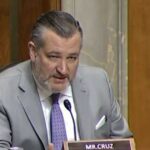 السيناتور كروز يدعو لتصنيف البوليساريو منظمة إرهابية بسبب تعاونها بالإيرانيين